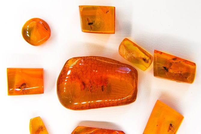 Best of Klaipeda & Curonian Spit Join-in Shore Excursion - Guided Tour of Nida and the Coastal Scenery