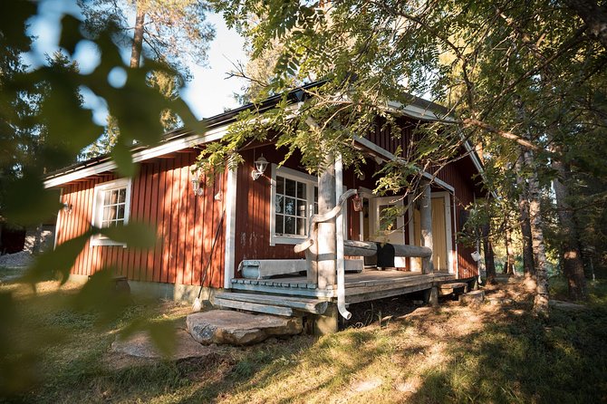 Best Of Lapland: Sauna, Ice swimming, Dinner & Northern Lights - Small Group Dynamics and Personal Touches