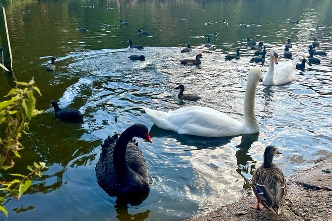 Best of London Tour: Tower of London and Churchill War Rooms - Practical Logistics and Tour Features