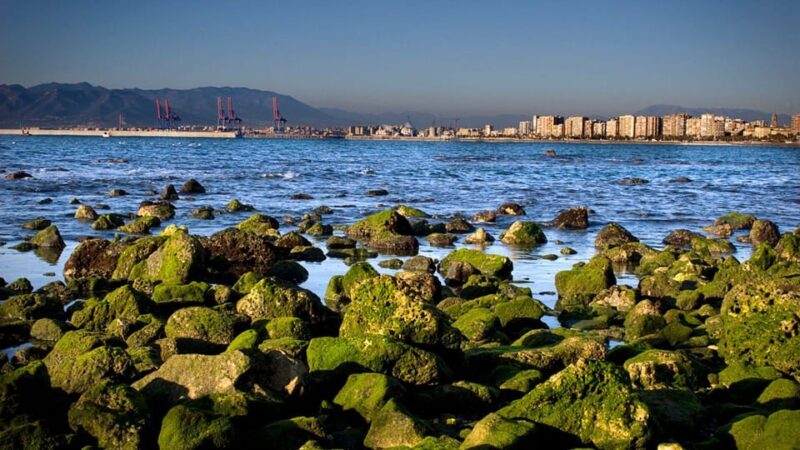 Best of Málaga: Private Walking Tour with a Local - Practical Details: Group Size, Accessibility, and Booking