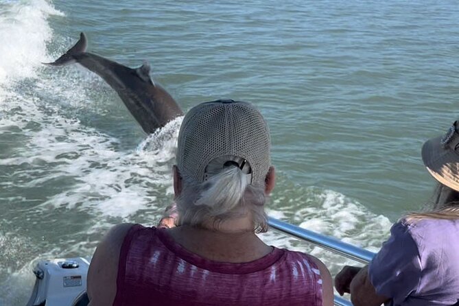 Best of Marco Island Dolphin Tour - Marco Island Highlights and Scenic Waterway Exploration