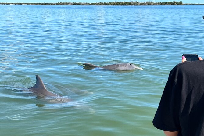 Best of Marco Island Dolphin Tour - What’s Included and What to Bring