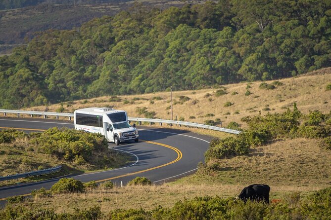 Best of Maui Tour: Sips, Sites and Bites with Lunch - Tasting Maui’s Local Spirits at Haliimaile Distilling Company