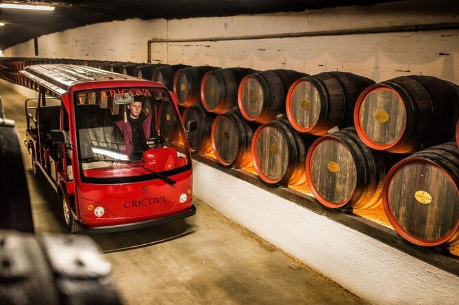 Best of Moldova: Cricova Winery & Old Orhei Tour including Curchi Monastery - Discovering Curchi Monasterys Heritage and Architecture