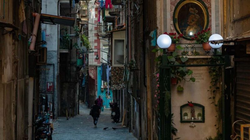 Best of Naples: Private Walking Tour with a Local - Accessibility and Flexibility of the Tour
