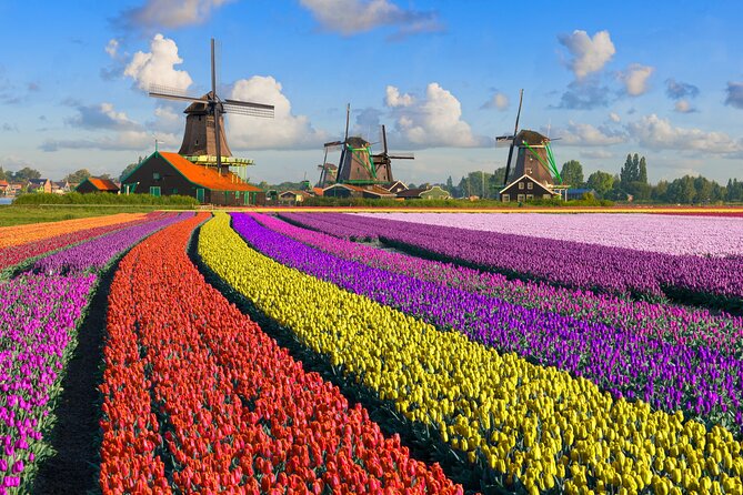 Best of Netherlands: Zaanse Schans Mills, The Hague & Rotterdam - Rotterdam: Modern Innovation and Architectural Marvels