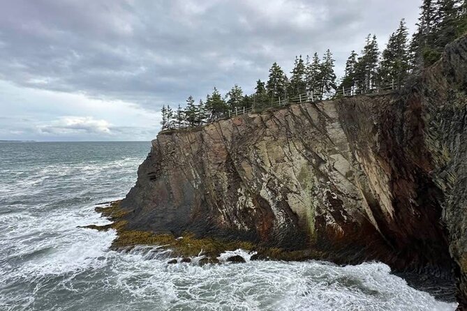 Best of Nova Scotia: Full-Day Private Luxury Tour - Key Points