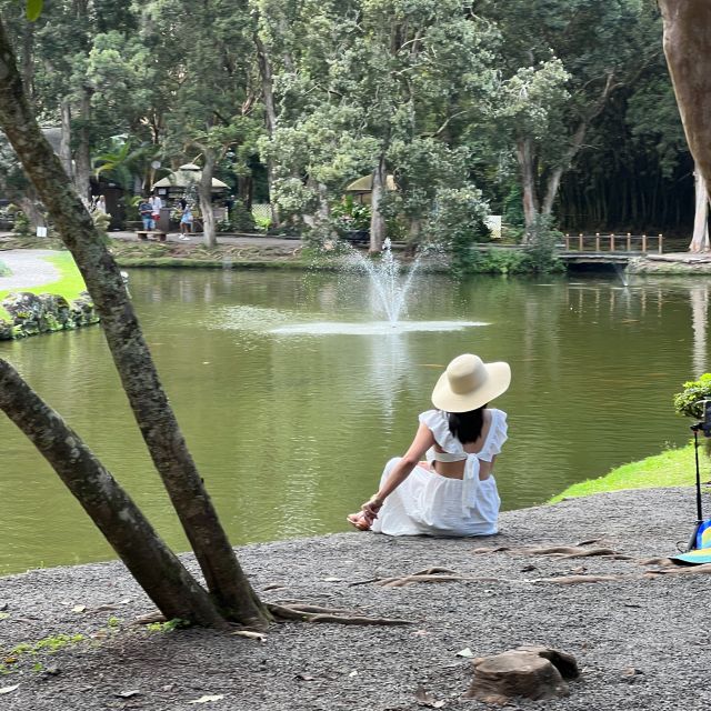 Best of Oahu in One Day - Who Should Consider This Tour?