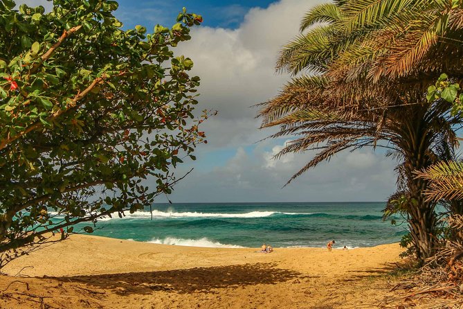 Best of Oahu: Pearl Harbor & Oahu Circle Island Tour from Waikiki - Driving Through Honolulu’s Historic Downtown