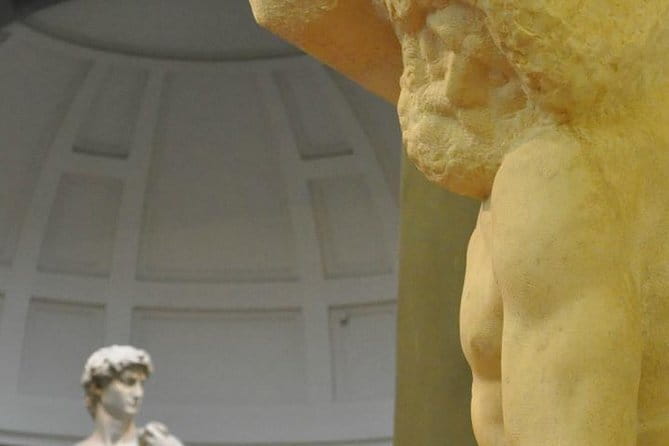 Best of Pisa in 4 hours - from Florence by Train - Practical Aspects and Accessibility
