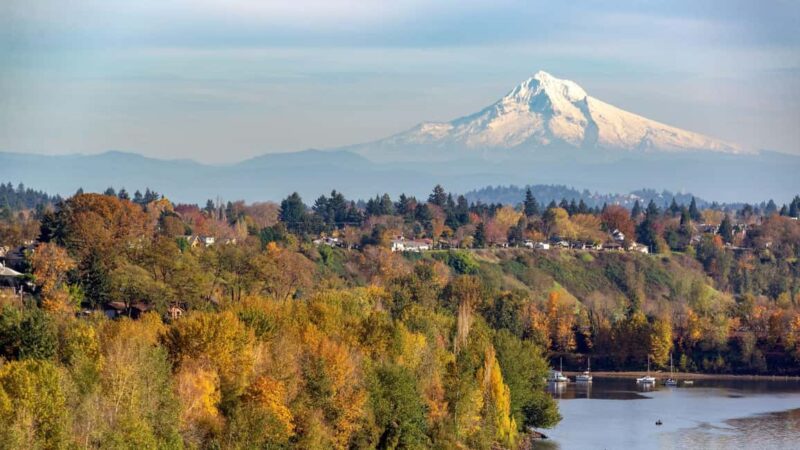 Best of Portland: Private Walking Tour with a Local - Key Points