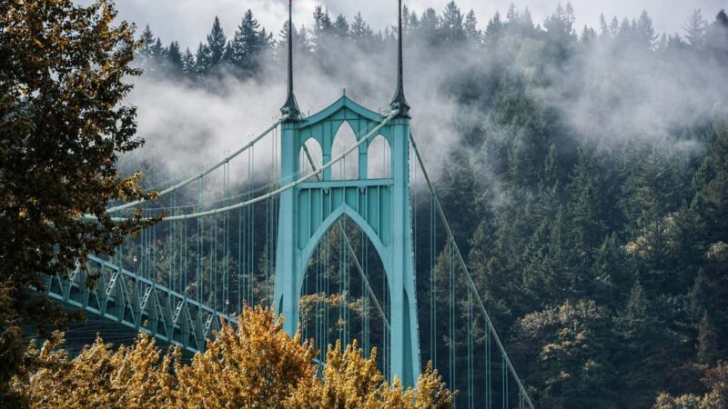 Best of Portland: Private Walking Tour with a Local - Insider Tips for Coffee, Hidden Gems, and Local Vibes