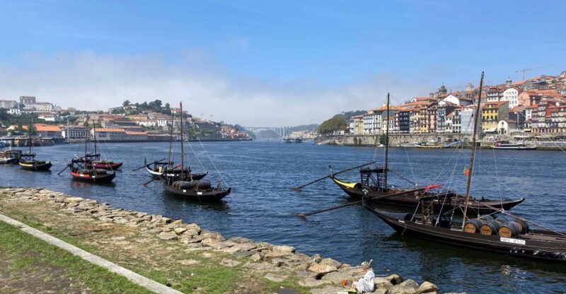 Best of Porto - Private Tour from Lisbon - Logistics: Private Pickup, Duration, and Flexibility