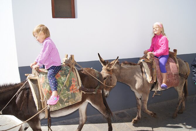 Best of Rhodes Tour including Lindos and Medieval City - Discovering the Medieval City and Its UNESCO Heritage Status