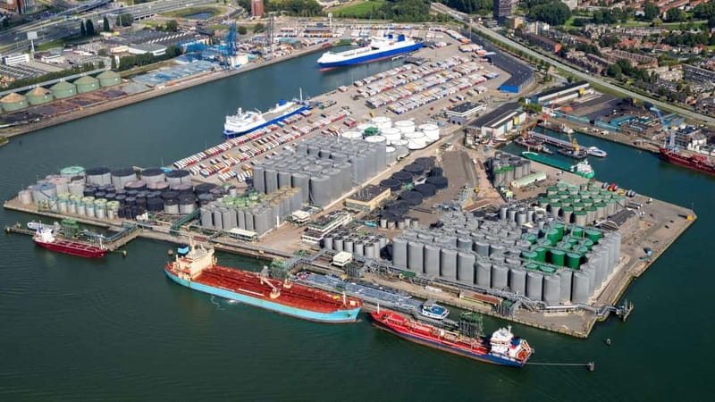 Best of Rotterdam: Private Walking Tour with a Local - Exploring Witte de Withstraat: The Creative Heart of Rotterdam