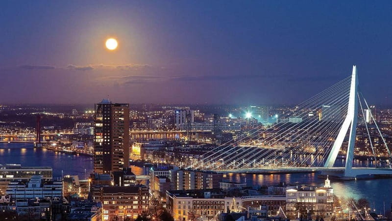 Best of Rotterdam: Private Walking Tour with a Local - Insider Tips for Local Flavors and Hidden Spots