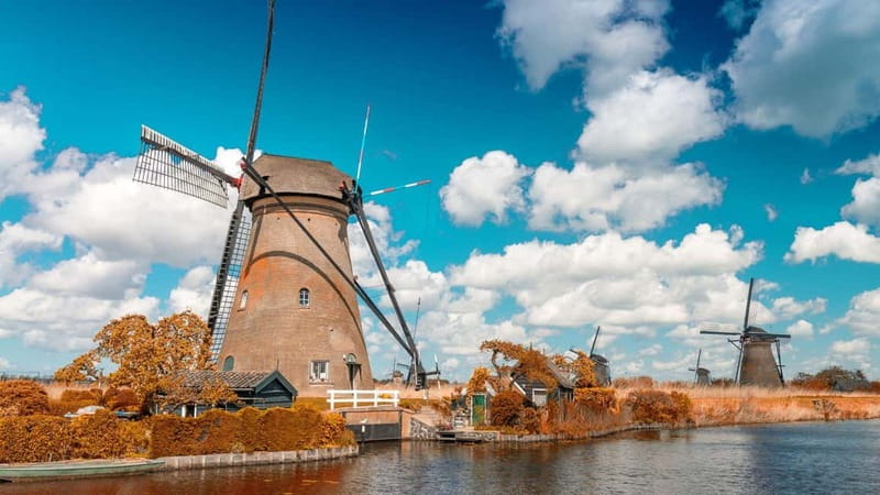 Best of Rotterdam: Private Walking Tour with a Local - Tour Logistics and Accessibility