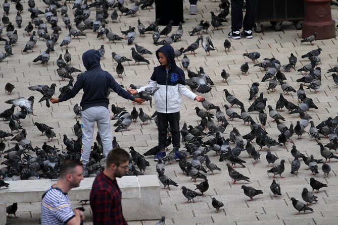 Best of Sarajevo - Ultimate Full-Day Experience - Scenic Ride and Walk Along Trebevi Mountain