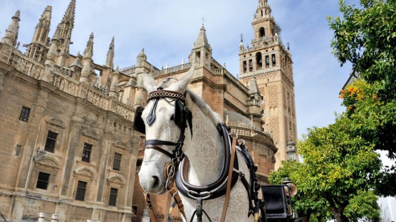 Best of Seville: Private Walking Tour with Local - Accessibility and Tour Flexibility for Different Travelers
