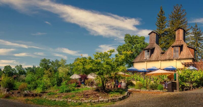 Best of SF: Wine Country, Redwoods, and Hop-on Hop-off Tour - Exploring Armstrong Redwoods State Natural Reserve