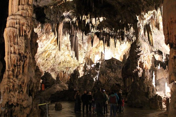 Best of SLOVENIA - Bled + Postojna + Ljubljana - Day Tour from Zagreb - Bled Town and Lake: An Image of Serenity and Wellness