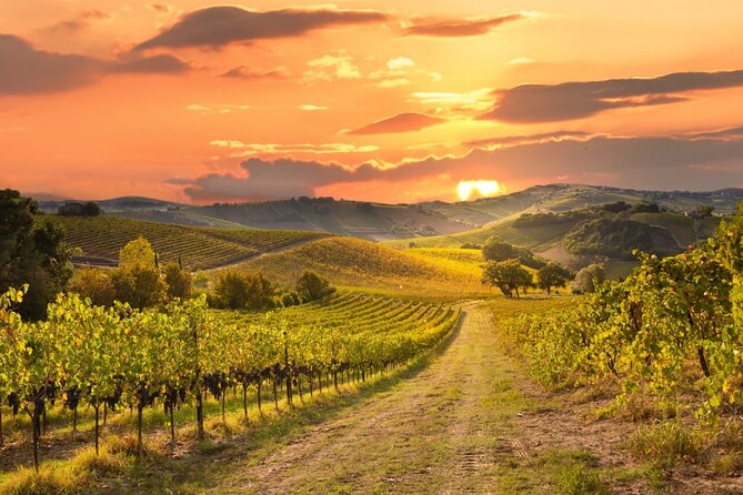 Best of Sonoma Scenic Tour (Join In) - Explore the Scenic Beauty and Iconic Stops of the Best of Sonoma Tour