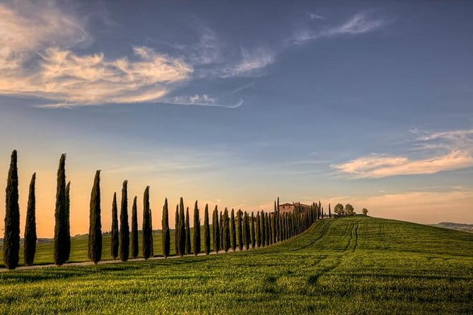 Best of Tuscany: Full Day Private Tour to Val D'Orcia - Flexible Schedule and Optional Winery Lunch