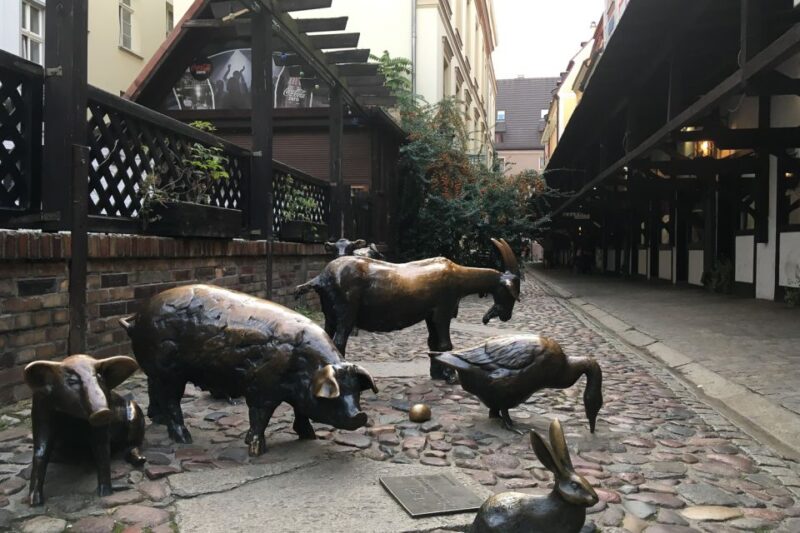 Best of Wroclaw 3-Hour History and Culture Walking Tour - Key Points