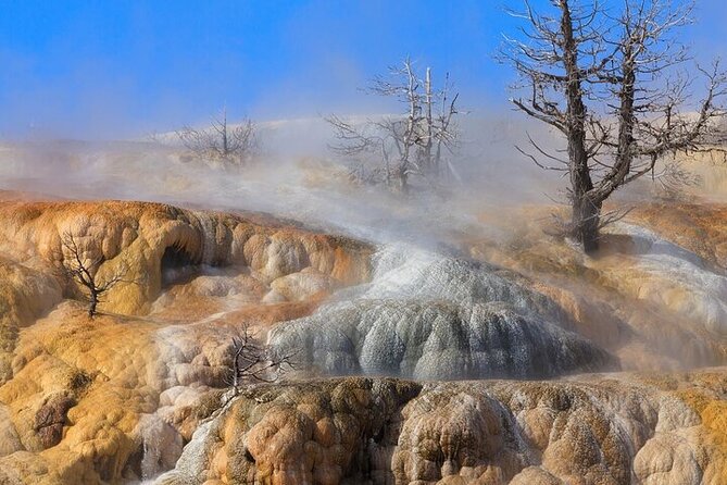 Best Of Yellowstone Full Day Nat'l Park Tour From Gardiner - The Spectacle of the Grand Canyon of Yellowstone