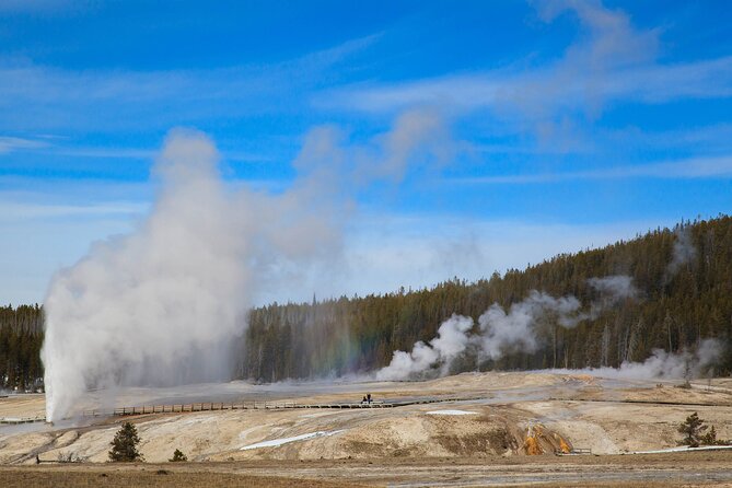 Best of Yellowstone Nat'l Park Tour from Paradise Valley - Key Points