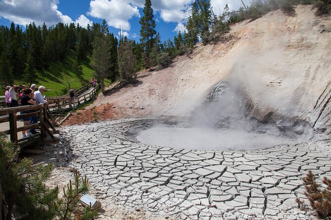 Best of Yellowstone Nat'l Park Tour from Paradise Valley - Discovering the Thermal Features at Mammoth Hot Springs