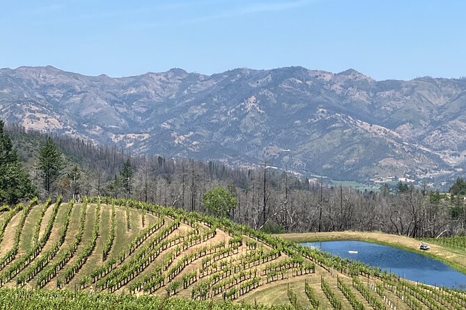 Best Private Wine Tours of Napa Valley Sonoma for 4 to 8 people - The Benefits of a Private, All-Inclusive Experience