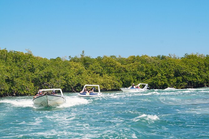 Best SpeedBoat and Snorkeling tour with Transfer from Cancun - Snorkeling at Ángel Reef: Discovering Vibrant Marine Life