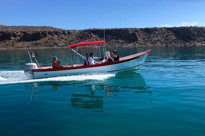 Best Tour to Coronados Island - Coronado Island: The Heart of Loretos Marine Paradise
