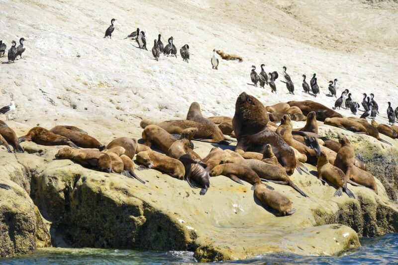 Best Tour to Peninsula Valdes - Practical Details: Logistics and Accessibility