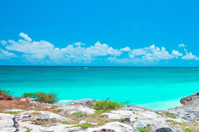 Best Tour to Tulum, Coba and Playa Del Carmen. No hidden fees! - Limitations and Considerations