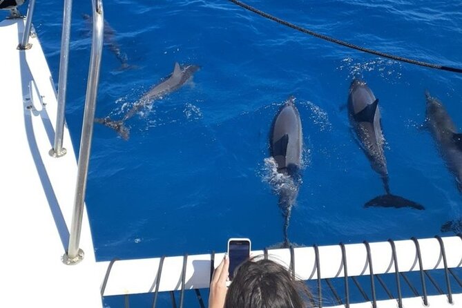 Best Waikiki Sunset Cruise:BYOB Sunset Sail with Swimming - Discover the Best Waikiki Sunset Cruise with BYOB and Swimming