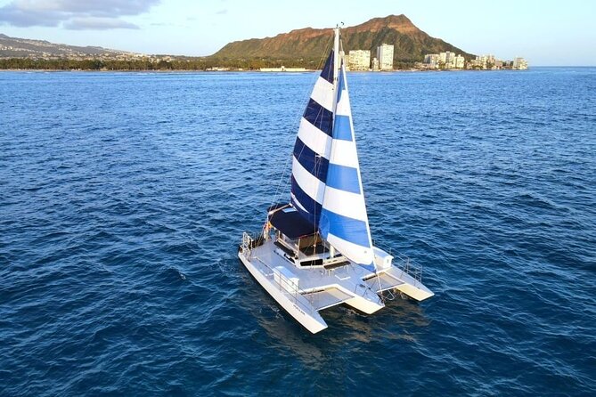 Best Waikiki Whale Watching in Honolulu: Whales Guaranteed - What Makes the Modern Trimaran Special?