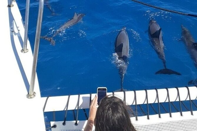 Best Waikiki Whale Watching in Honolulu: Whales Guaranteed - Bringing Your Own Food and Drinks