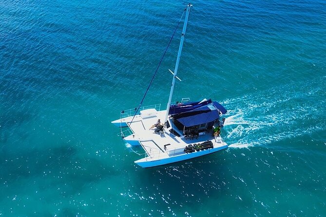 Best Waikiki Whale Watching in Honolulu: Whales Guaranteed - Wildlife Encounters Beyond Whales