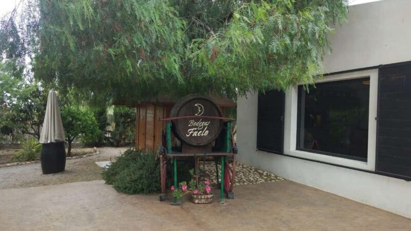 Best Winery Tour and Wine Tasting - Tasting Four Wines: White, Rosé, Red, and Sweet