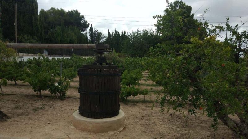 Best Winery Tour and Wine Tasting - Final Thoughts on the Best Winery Tour and Wine Tasting