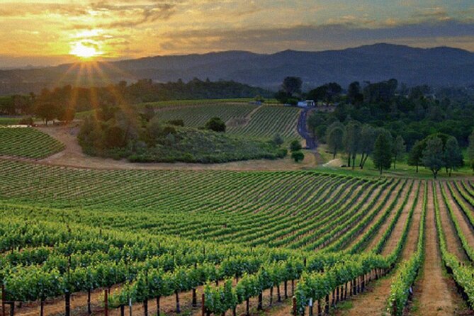 Best Wines of Crete: Wine Tasting Tour & traditional Lunch - Key Points