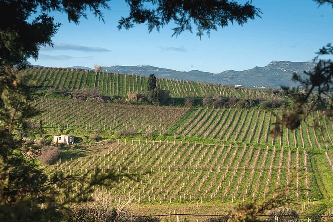 Best Wines of Crete: Wine Tasting Tour & traditional Lunch - Flexibility and Cancellation Policies