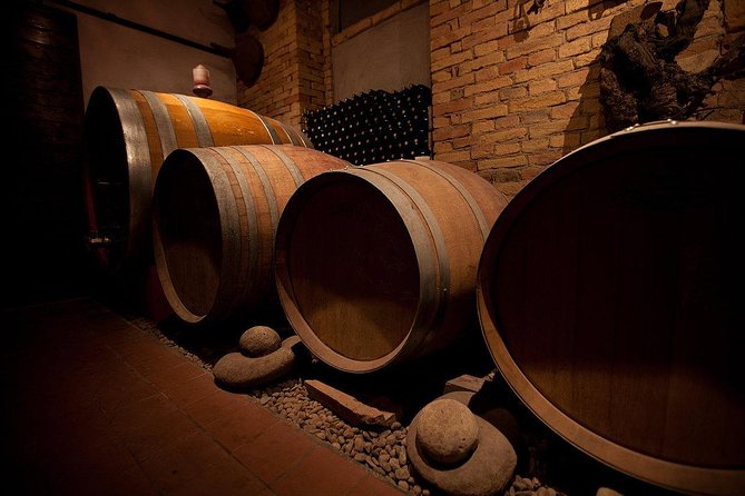 "Between Langhe and Monferrato" - Wine Tasting and Cellar Visit - Tasting on the Panoramic Terrace