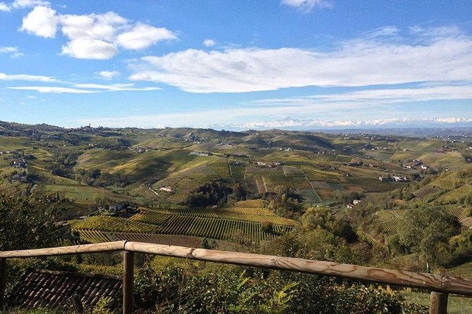 "Between Langhe and Monferrato" - Wine Tasting and Cellar Visit - The Wines and Food Pairings