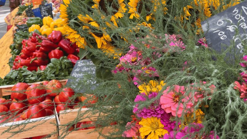 Between sea and hills: in the footsteps of Allauch, Aix, Marseille - Notre Dame de la Garde: Breathtaking Views Over Marseille