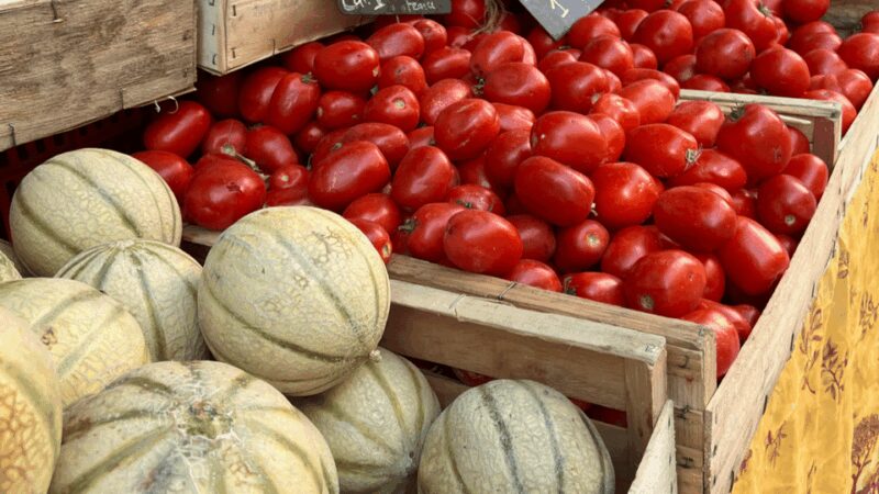 Between sea and hills: in the footsteps of Allauch, Aix, Marseille - Scenic Views on the Way: Nature and Urban Landscapes