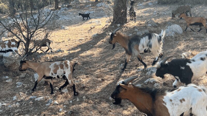Between sea and hills: in the footsteps of Allauch, Aix, Marseille - Accessibility and Practical Details