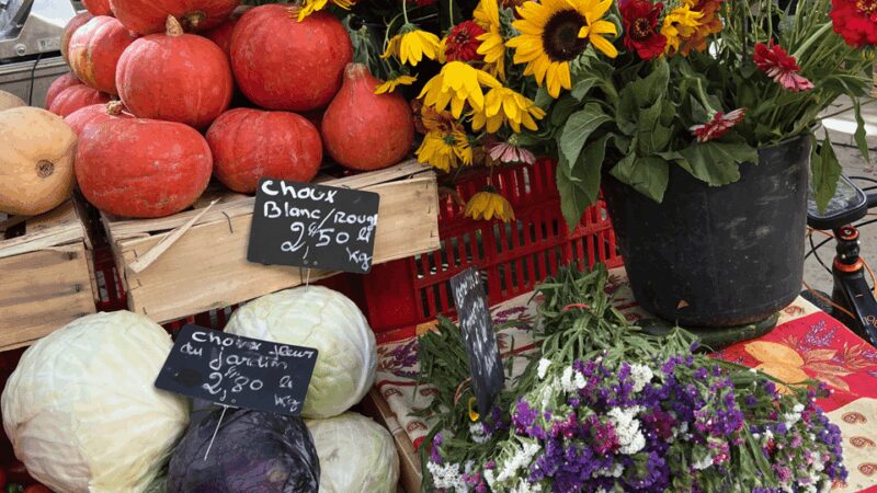 Between sea and hills: in the footsteps of Allauch, Aix, Marseille - Comparing This Tour to Similar Provence Experiences
